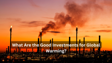 What Are the Good Investments for Global Warming?