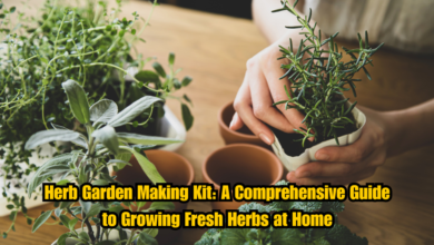 Herb Garden Making Kit: A Comprehensive Guide to Growing Fresh Herbs at Home