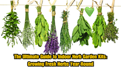 The Ultimate Guide to Indoor Herb Garden Kits: Growing Fresh Herbs Year-Round